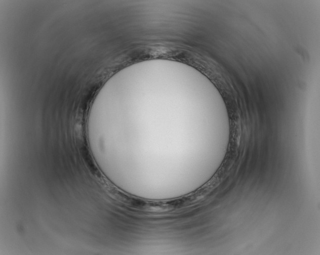 X0000111660510200907171122
