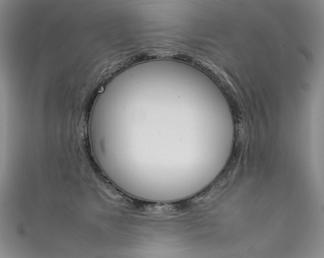 X0000111660517200907171122