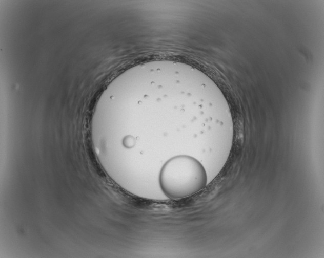 X0000111660519200907171122