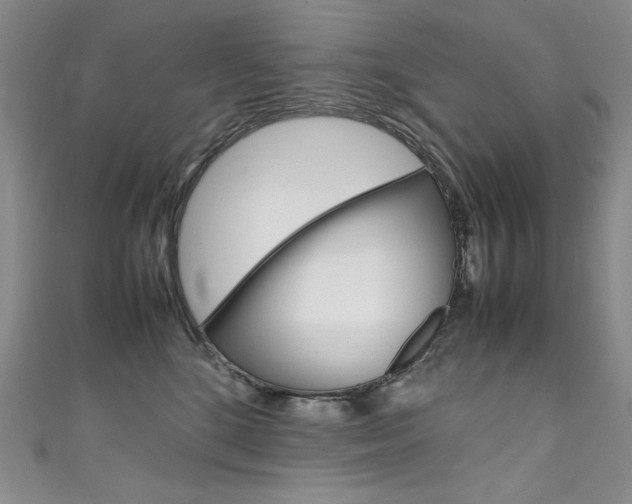 X0000111660520200907171122