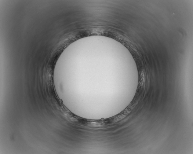 X0000111660522200907171122