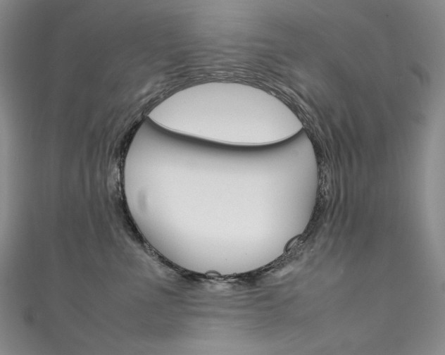 X0000111660523200907171122