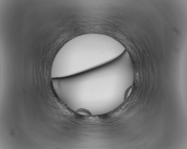 X0000111660525200907171122