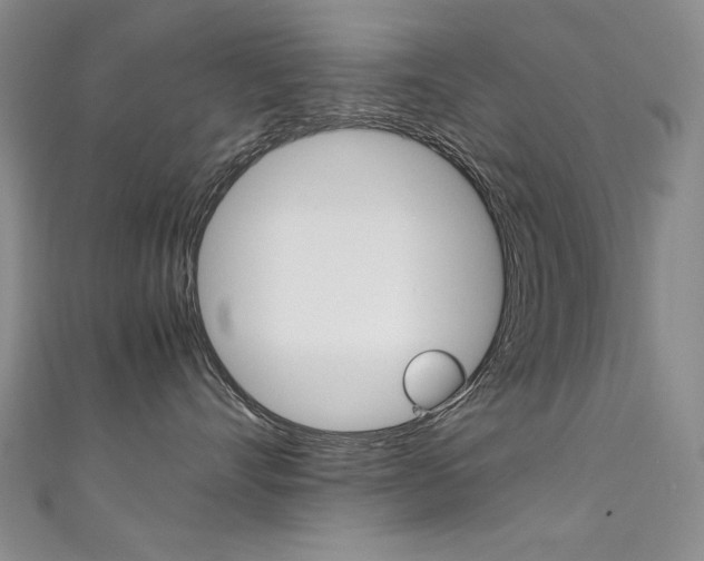 X0000111660528200907171122