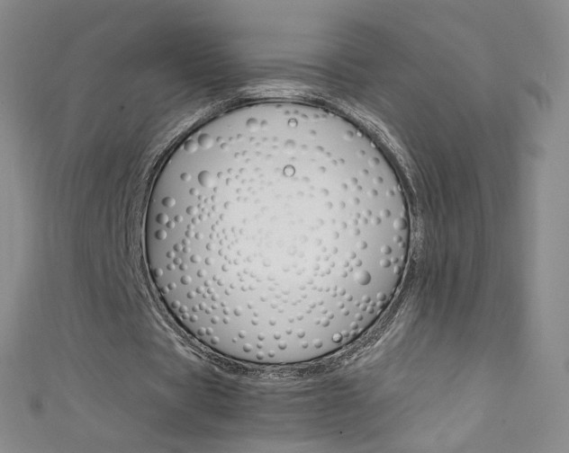 X0000111660529200907171121