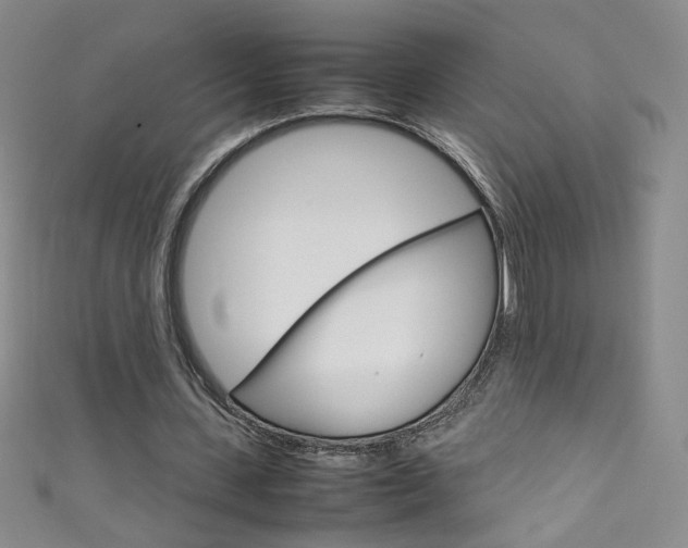 X0000111660531200907171121