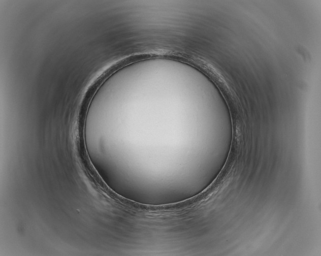 X0000111660532200907171121