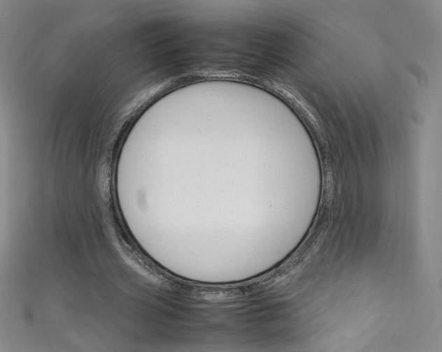 X0000111660533200907171121