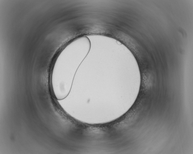 X0000111660534200907171121