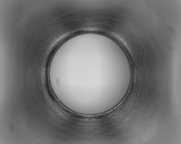 X0000111660535200907171121