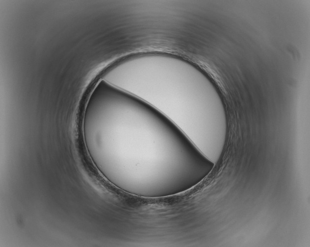 X0000111660536200907171121