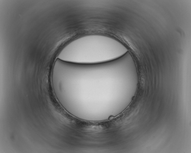 X0000111660543200907171121