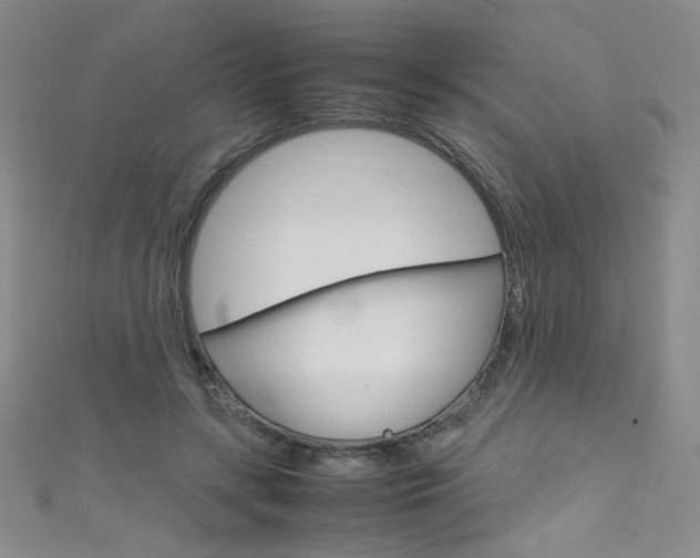 X0000111660547200907171122