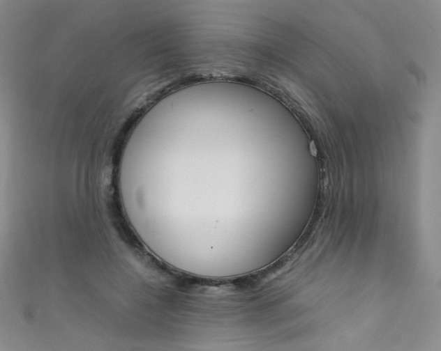 X0000111660548200907171122