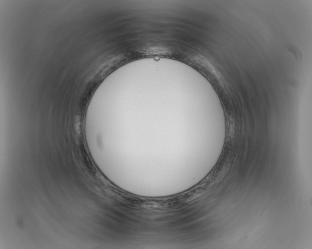 X0000111660549200907171122