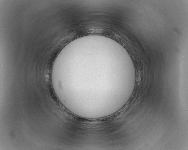 X0000111660553200907171122