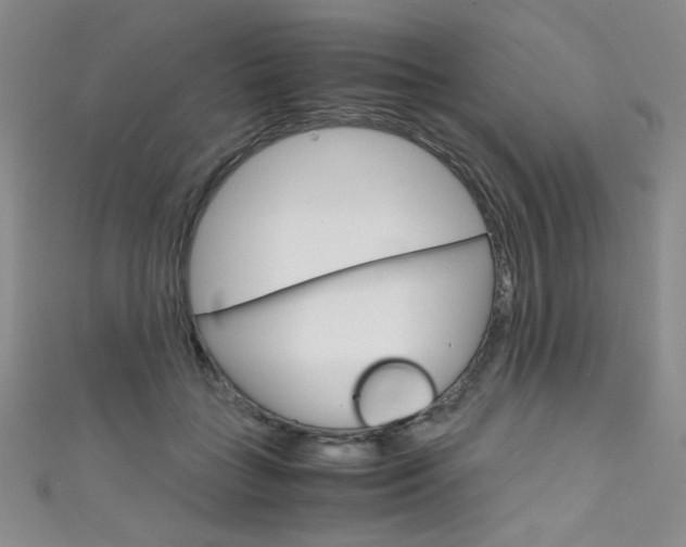 X0000111660555200907171122
