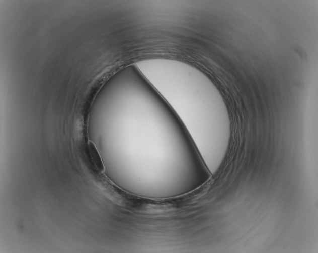 X0000111660556200907171122