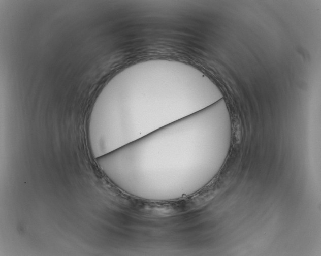 X0000111660559200907171122