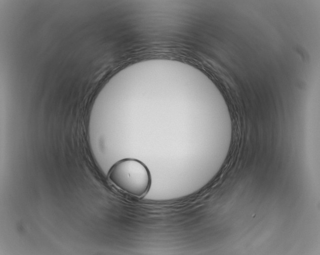 X0000111660560200907171122