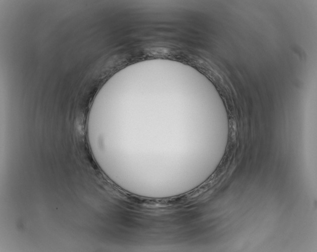 X0000111660561200907171122
