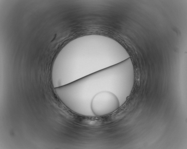X0000111660563200907171122