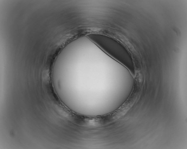 X0000111660564200907171122