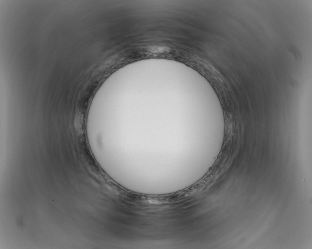 X0000111660565200907171122