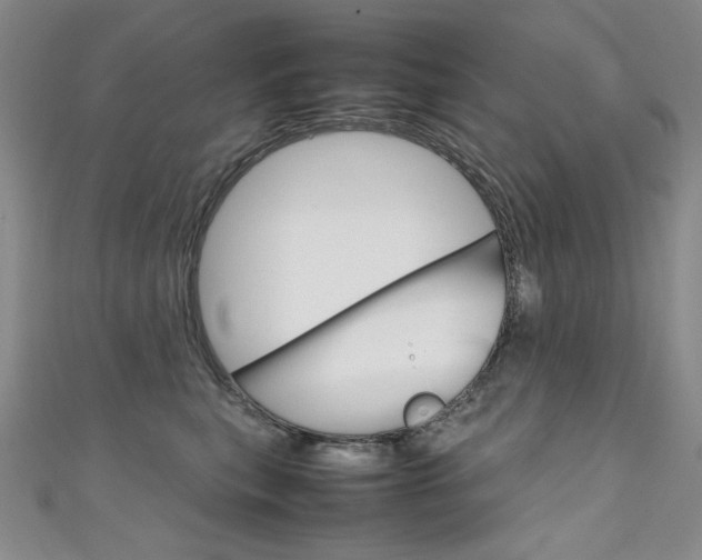 X0000111660567200907171122