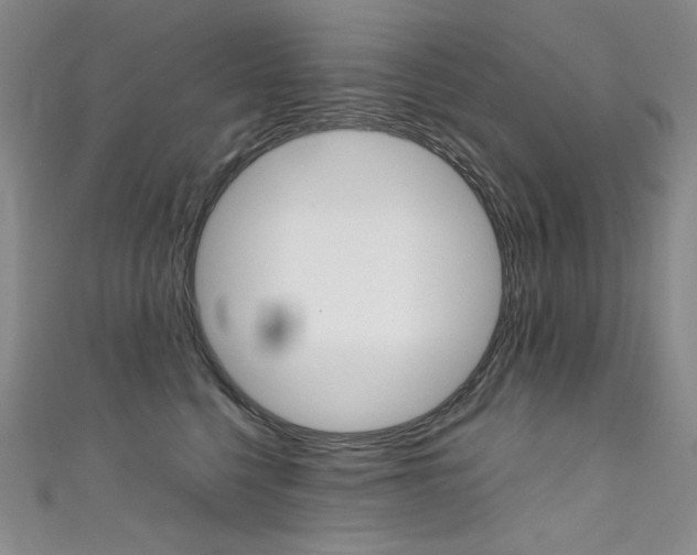 X0000111660568200907171122