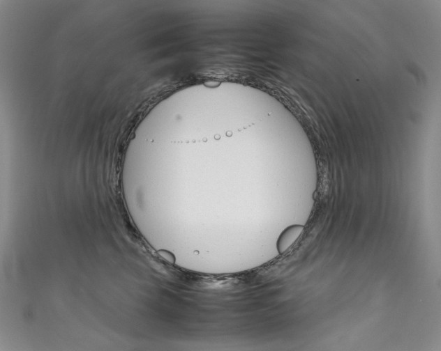 X0000111660569200907171122
