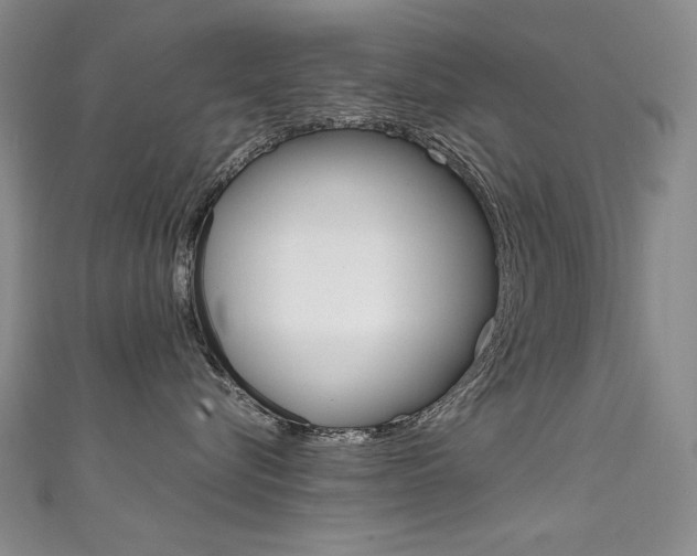 X0000111660576200907171122