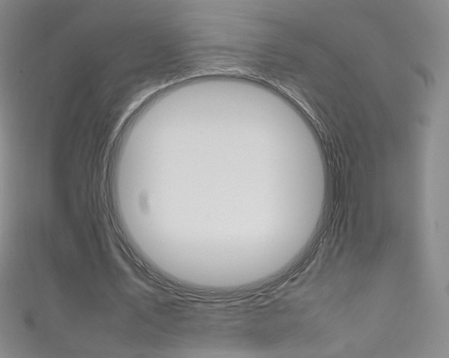 X0000111660579200907171121