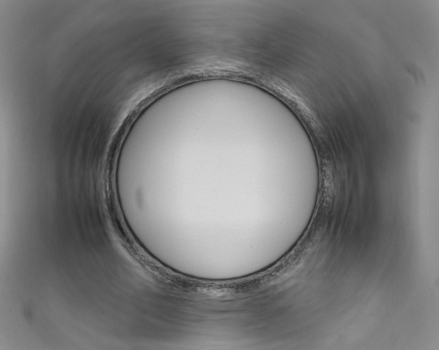 X0000111660582200907171121