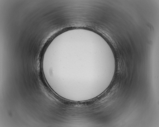X0000111660584200907171121
