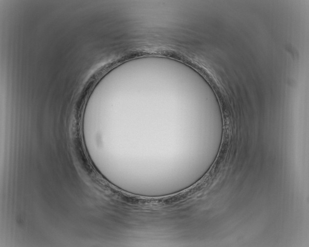 X0000111660587200907171121