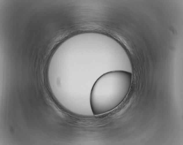 X0000111660589200907171121