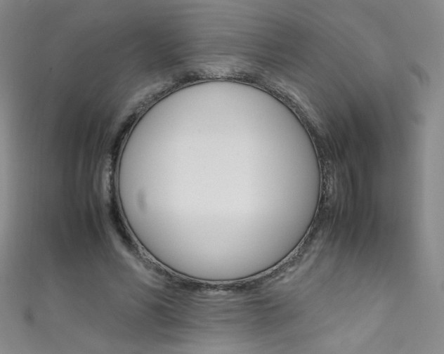 X0000111660590200907171121