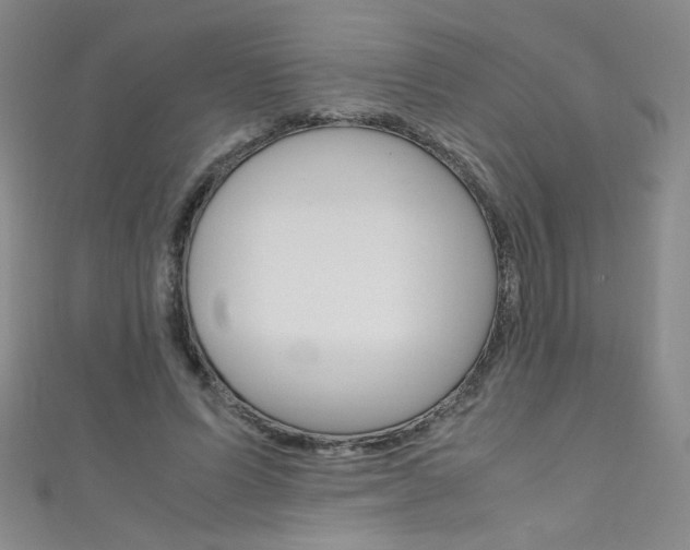 X0000111660591200907171121