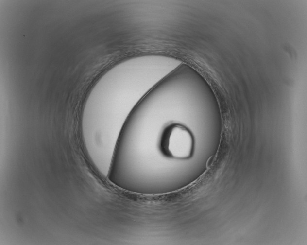 X0000111660593200907171121