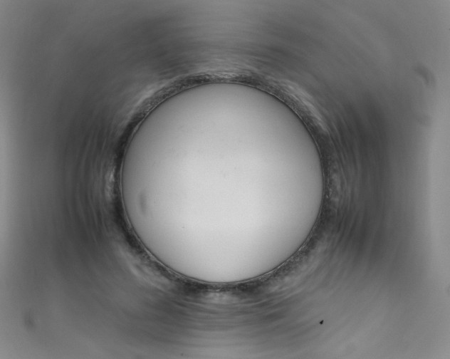 X0000111660596200907171121