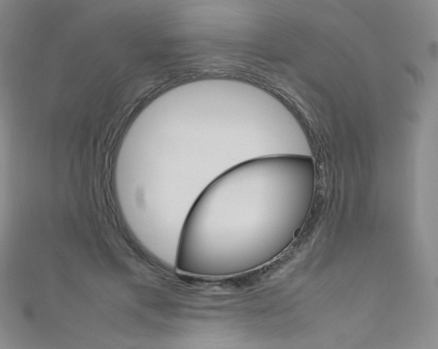 X0000111660597200907171121