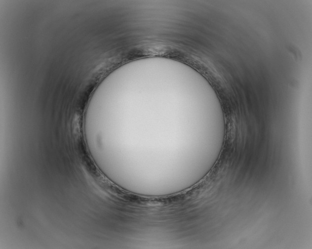 X0000111660598200907171121