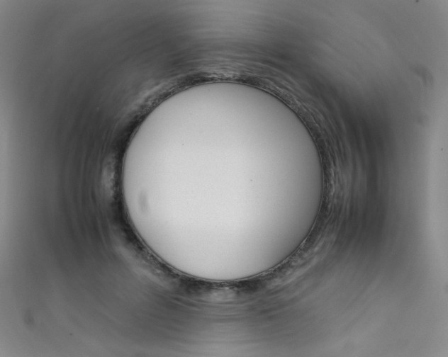 X0000111660600200907171121