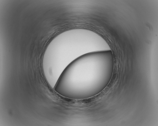 X0000111660601200907171121