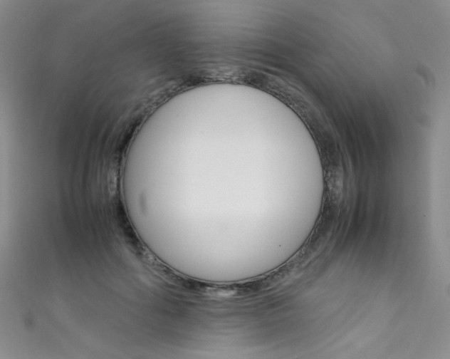 X0000111660602200907171121