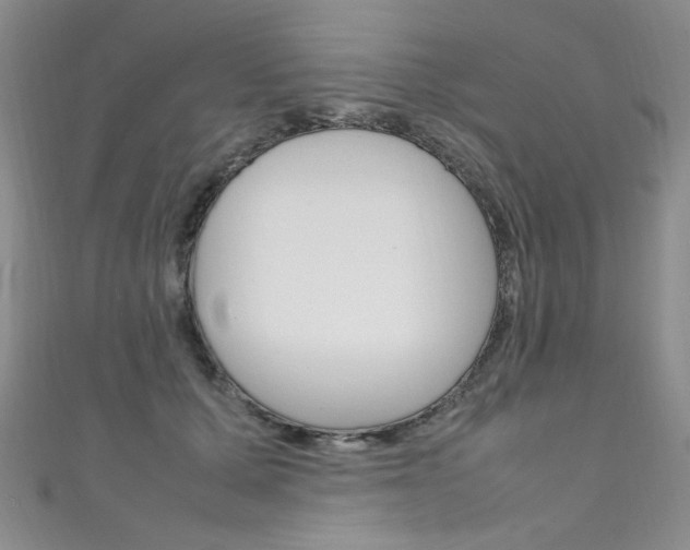 X0000111660607200907171121