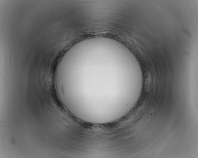 X0000111660608200907171121