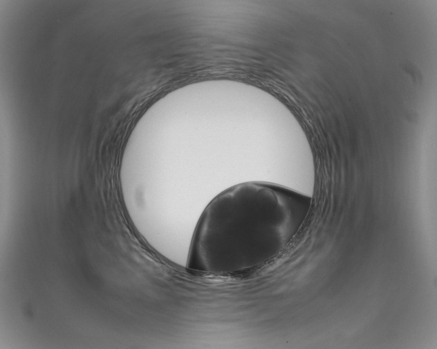 X0000111660617200907171121