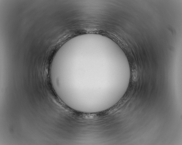 X0000111660618200907171121